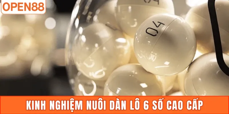 Kinh nghiệm nuôi dàn lô 6 số cao cấp